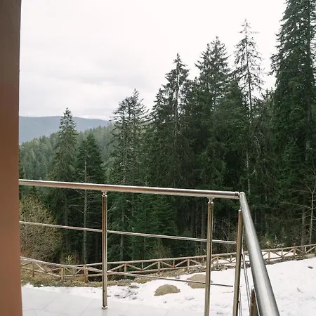 Villa донука Panichishte