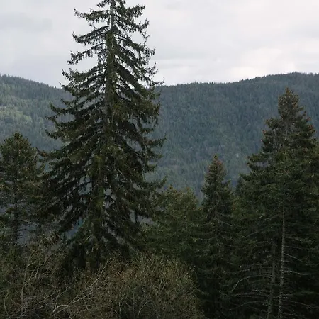 донука וילה