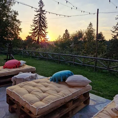 וילה донука