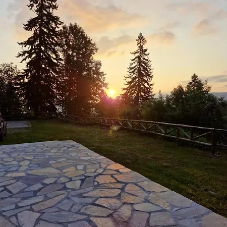 донука פניצ'ישטה