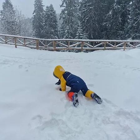 וילה донука *