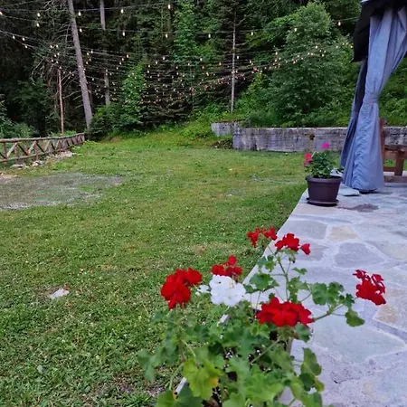 Villa донука