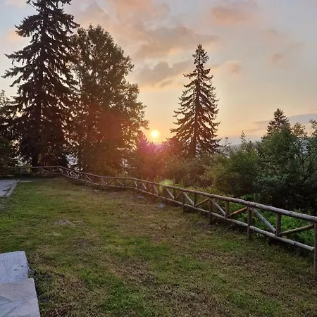 донука * פניצ'ישטה