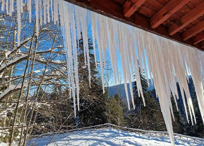 别墅 донука *