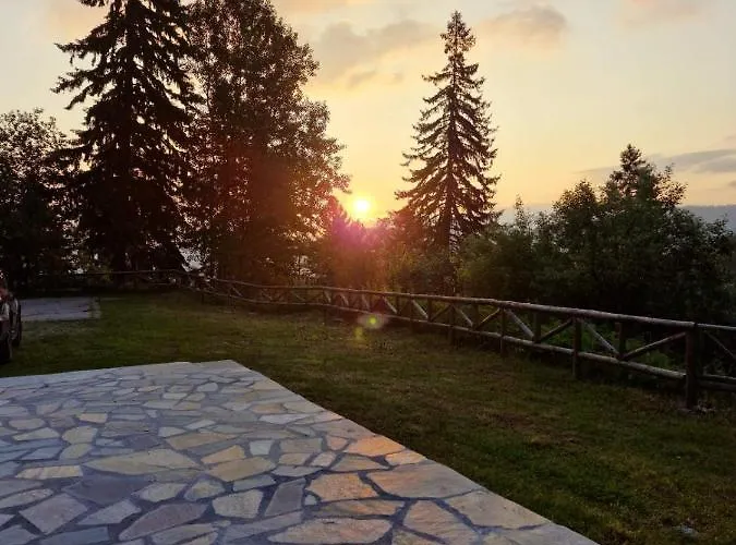 донука 潘尼希特