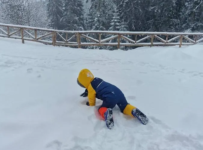 别墅 донука *