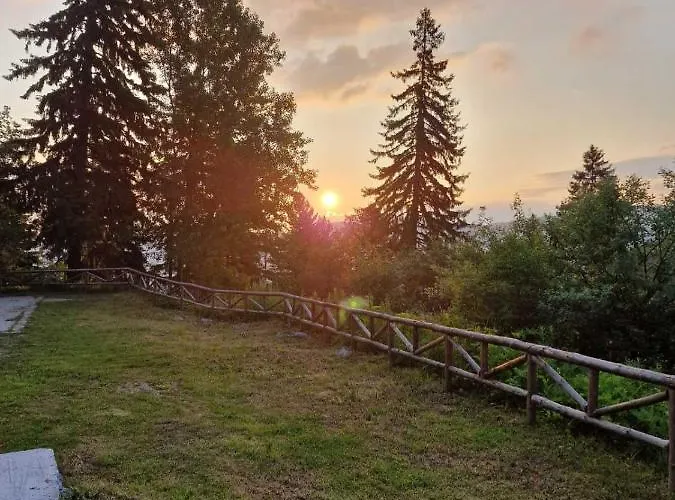 донука * 潘尼希特